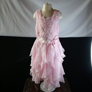 American Princess Pink Formal Dress with Rose Embellishments and Bow Size 10